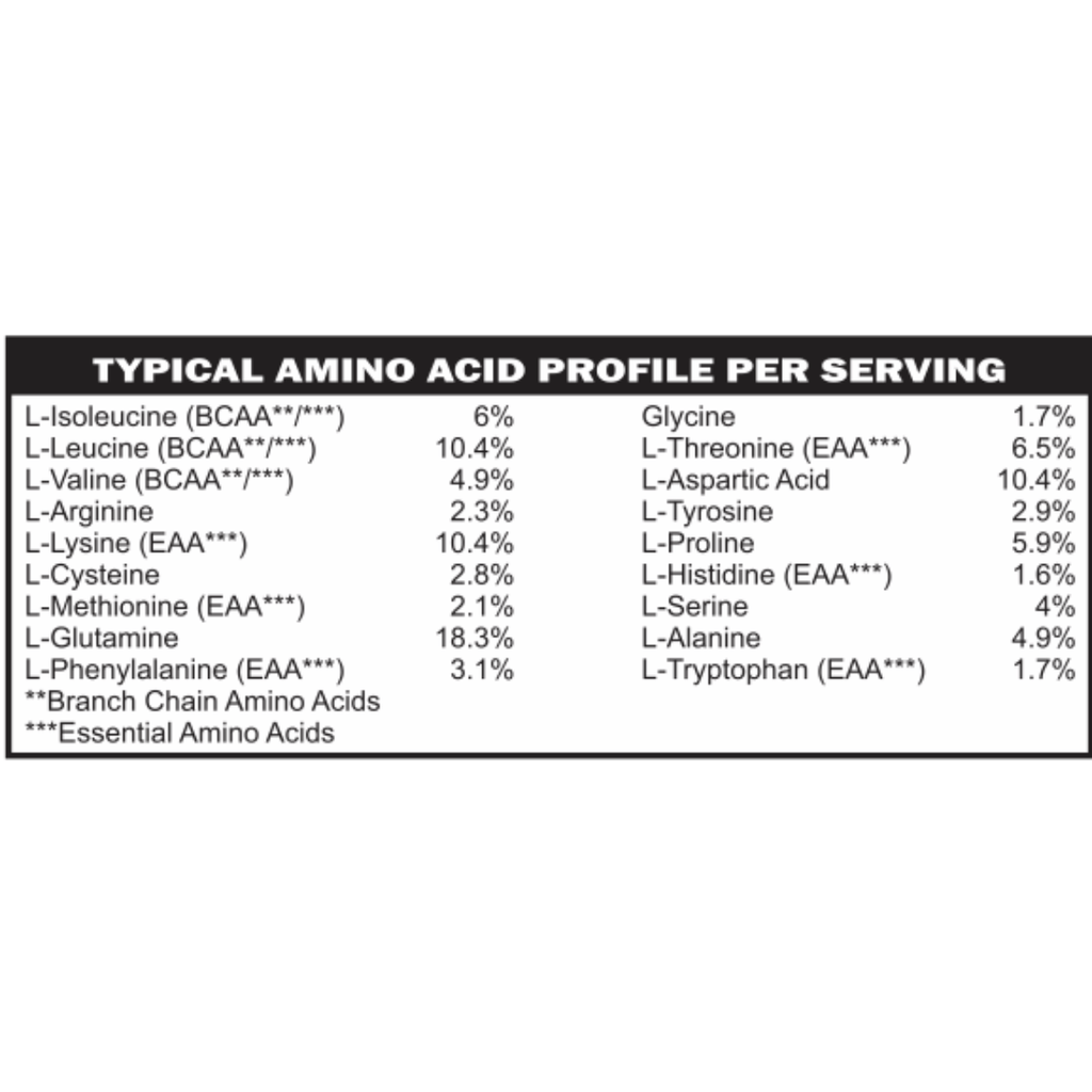 Elemental Whey WPI Protein Powder + Digestive Enzymes (Chocolate) | Low FODMAP & GLP-1 Gut-Gentle Muscle Support