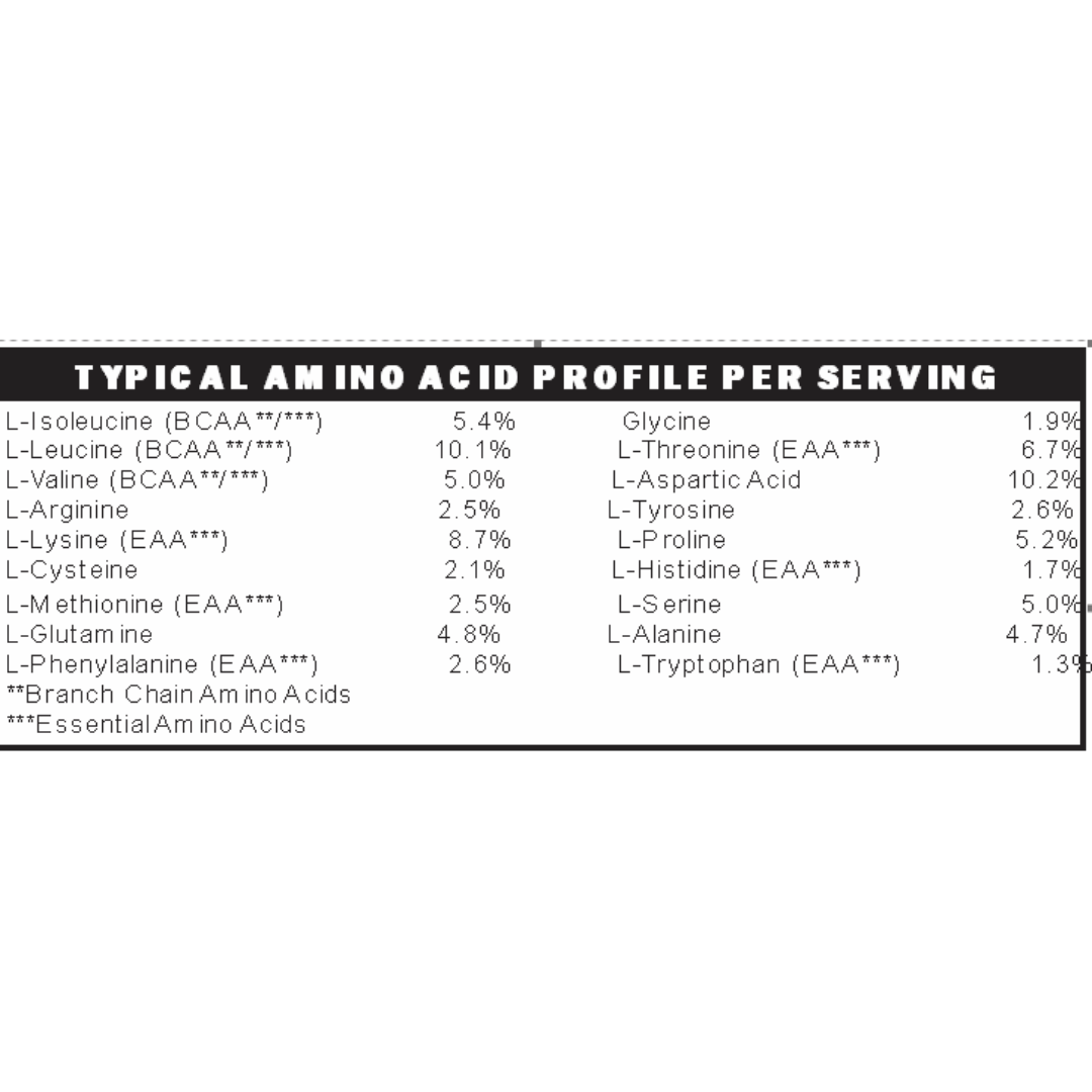 Elemental Whey WPI Protein Powder + Digestive Enzymes (Vanilla) | Low FODMAP & GLP-1 Gut-Gentle Muscle Support